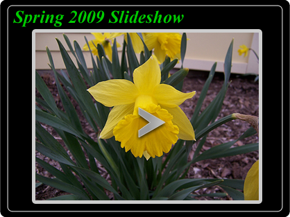 Spring 09 Slideshow