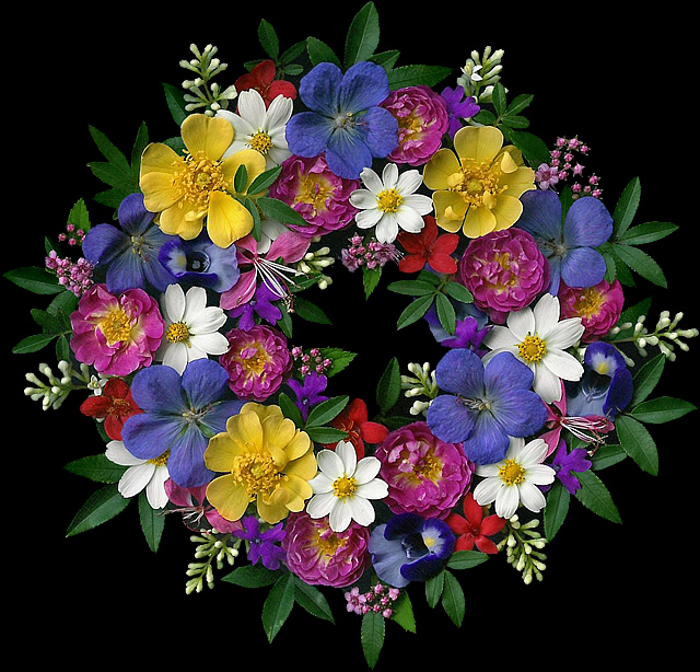 Mixed wreath Mixed flower wreath