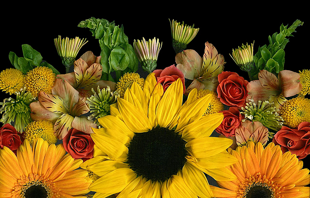Sunflower mix Sunflower mix