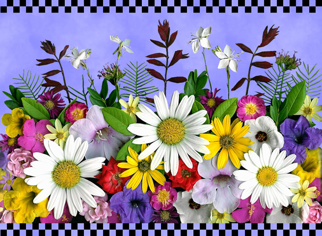 Wildflowers with checks Wildflowers with checks