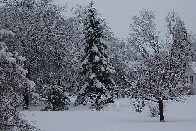 018 Snowstorm Snowstorm