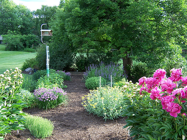 942 Herbs Herb garden