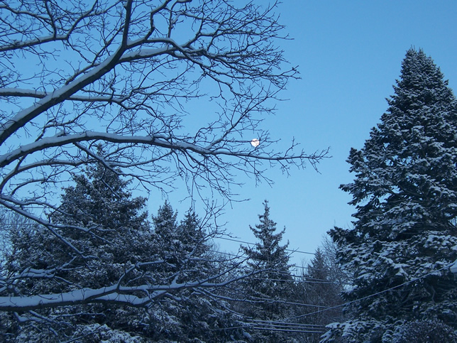 986 Winter moon Winter moon