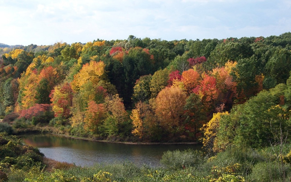 Fall colors