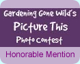 GGW Hon Mention GGW Honorable Mention Award