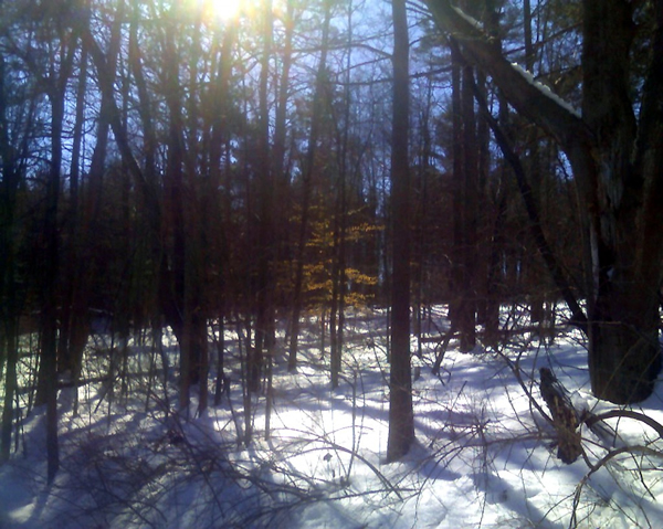 Mendon Ponds in winter