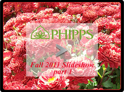 Phipps Fall 2011 part 1 slideshow