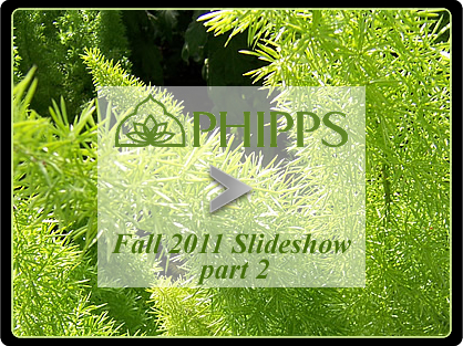 Phipps Fall 2011 part 2 slideshow