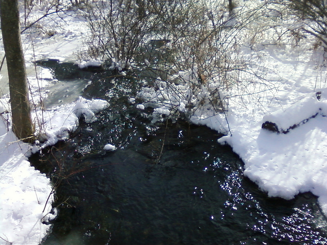 Quaker Pond runoff