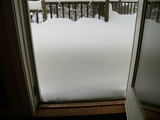 101_1064 Snowy deck