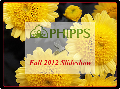 Slideshow for Phipps Fall 2012