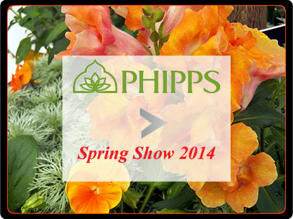 Phipps Spring 2014