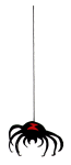Spider Dropping