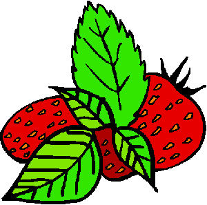 Strawberry Plants