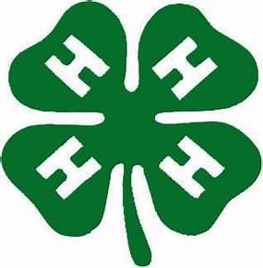 Kids and Gardening- 4H