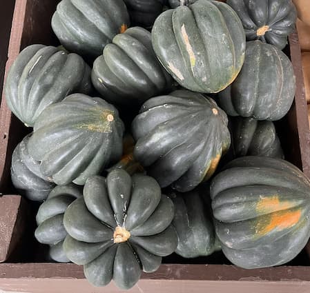 How to Grow Acorn Squash. How to make stuffed Acorn Squash recipe