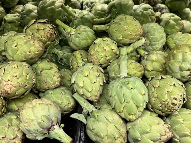 Globe Artichoke Hearts, Artichoke dip recipe, casserole