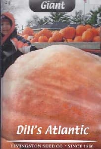 Atlantic Giant
