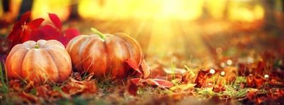 Autumn Halloween Pumpkins