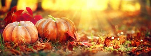 Autumn Halloween Pumpkins