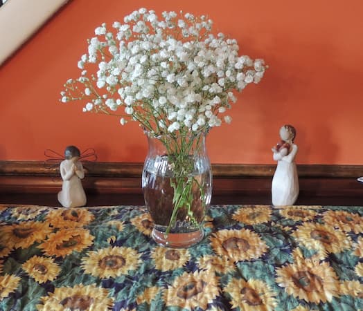Baby's Breath Flower Plant, Gypsophila