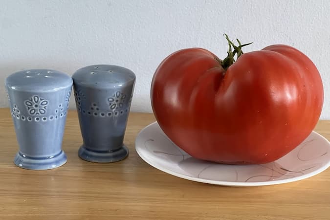 Beefsteak Tomato