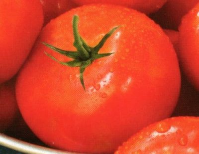 Beefsteak Tomato, Garden tomato. How to make ketchuprecipes. how to grow tomato plants, gardening tips. how to make Ketchup recipes. Tomato Disease Codes