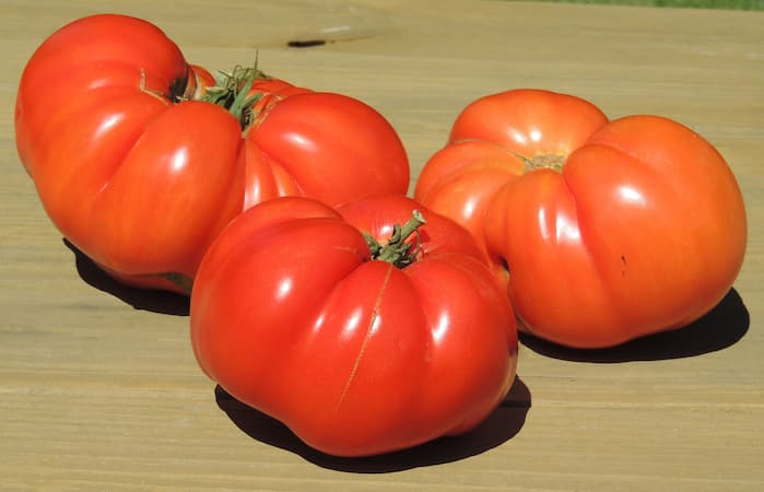 Beefsteak Tomatoes. How to make ketchup recipe. How to grow Brandywine tomato.