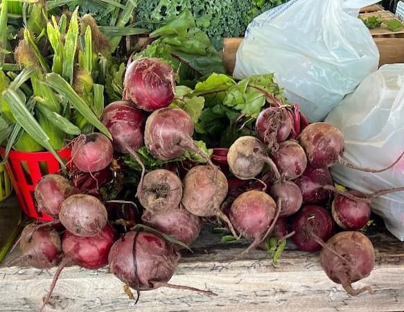 How to Grow Beets Vegetable Plant. How to make baked Harvard beets recipe.