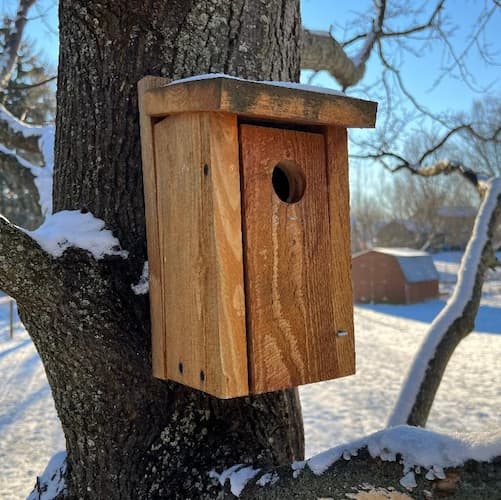 Bird Houses, birdhouse