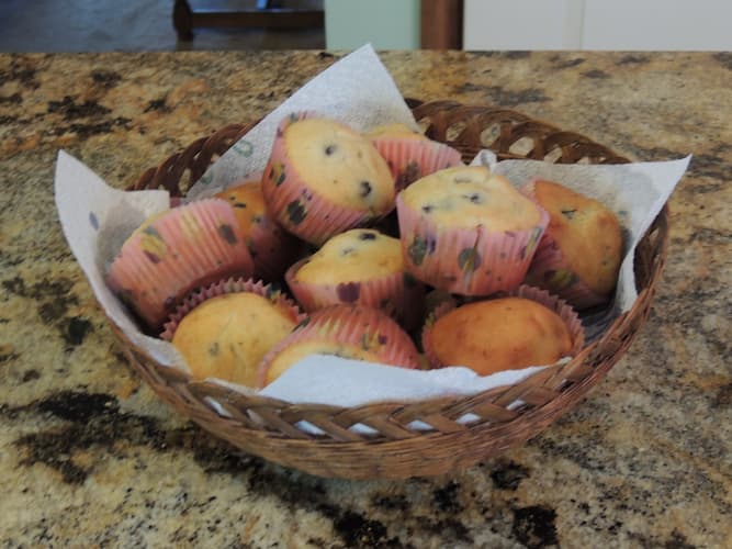 How to make Blueberry Muffins Recipe