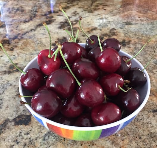 Cherry Bowl. How to Grow Cherry Trees.