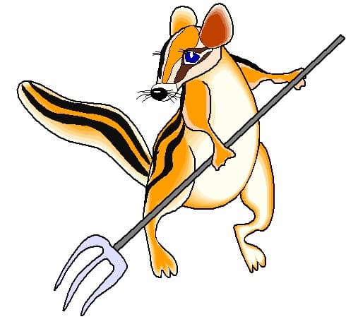 Chipmunk Control