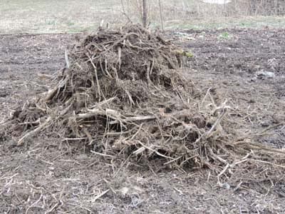 Organic Compost Pile