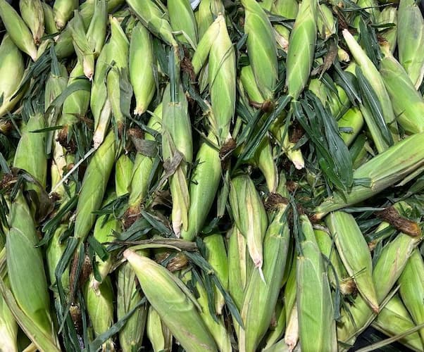 How to Grow Sweet Corn Ears. how to make Grilled Corn recipe