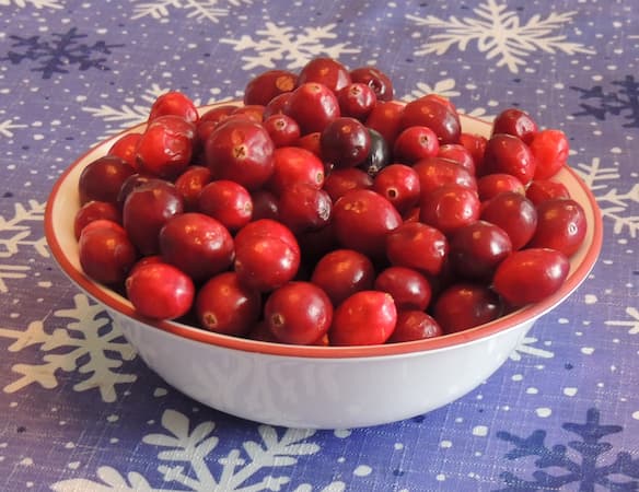 How to grow cranberries. Health benefits. cranberry medicinal uses. How to Make Cranberry recipe