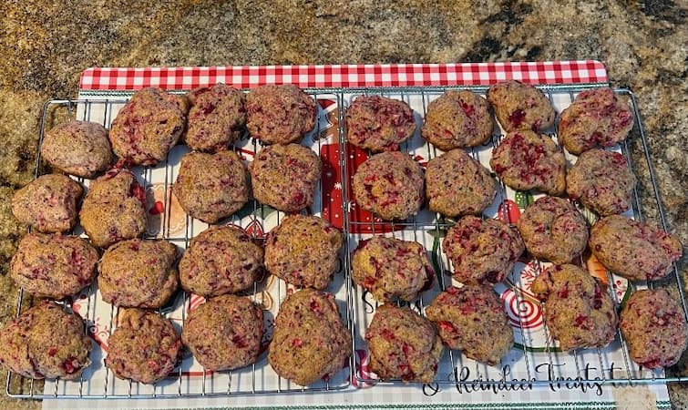 How to make Cranberry Drop Cookies