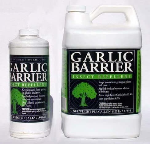 Garlic Barrier Insect Repellents, home gardening, how to grow