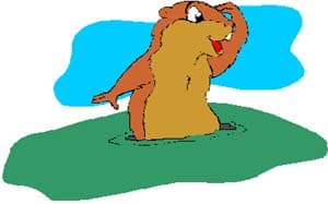 Groundhog's Day, Woodchuck