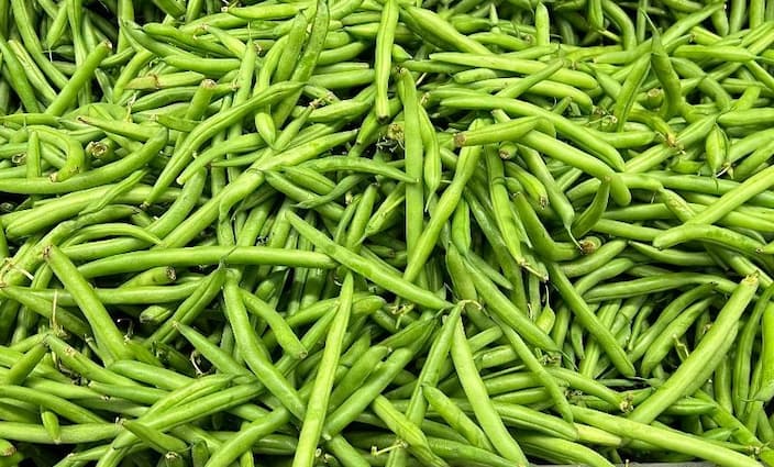 How to Grow Green Bean Recipes