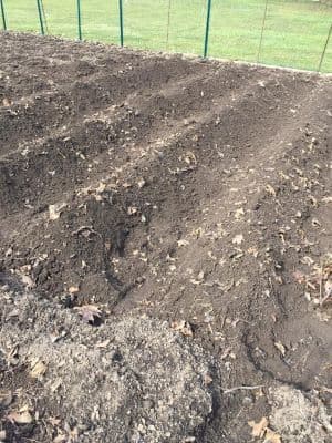Hilling Plants
