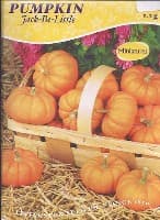 Jack Be Little Pumpkins