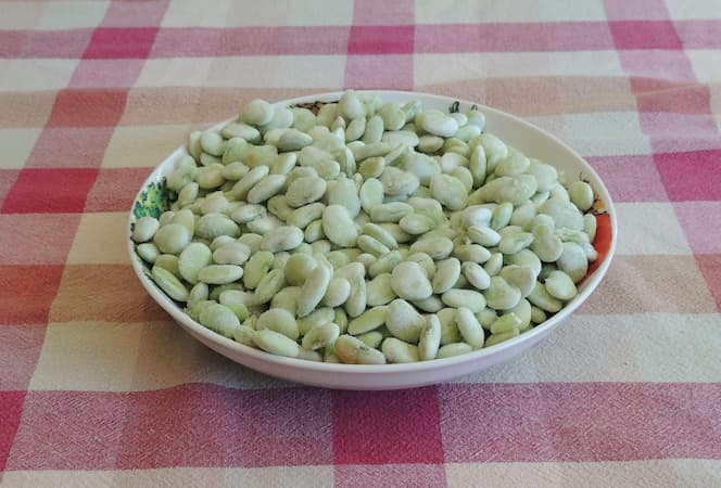 How to Grow Lima Beans. Growing Lima Beans.