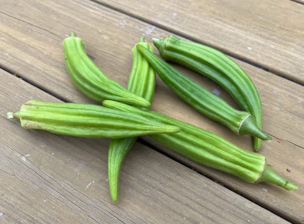 Okra Flowers Ripe