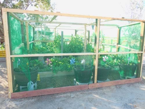 Pest Netting Frame