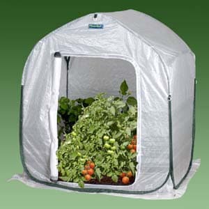 Planthouse Hobby Greenhouse. Frost protection. protecting plants from frost.