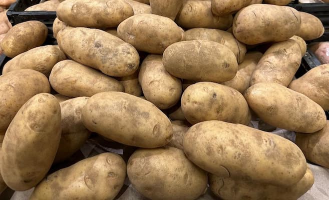 How to Grow Potatoes. Horseradish Mashed Potatoes recipe. Hot potato salad