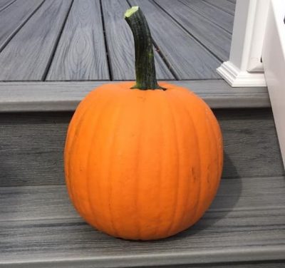Pumpkin 2022