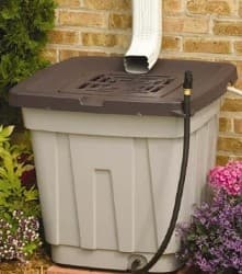 Rainbarrel