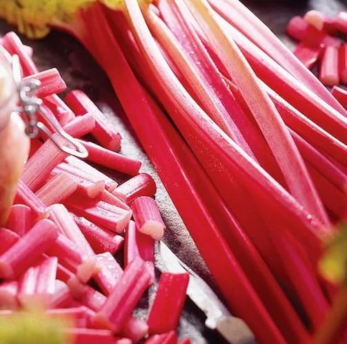 Rhubarb Plants, How to Make Rhubarb Cake recipe